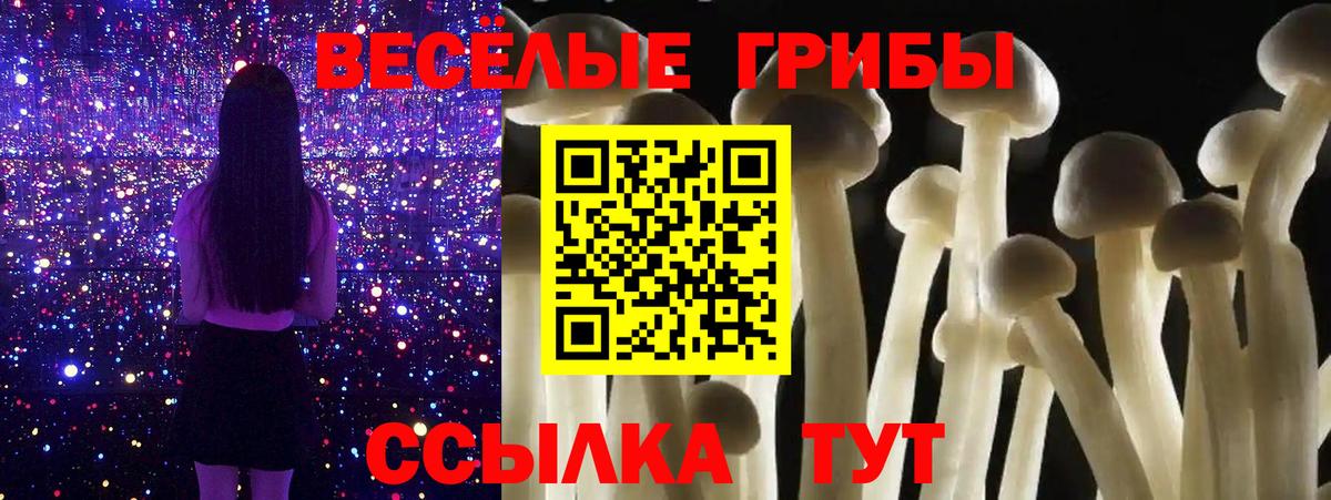 Котельники  Псилоцибиновые грибы Psilocybe  магазин  наркотиков  Вход с VPN  Галлюциногенные грибы Magic Shrooms 